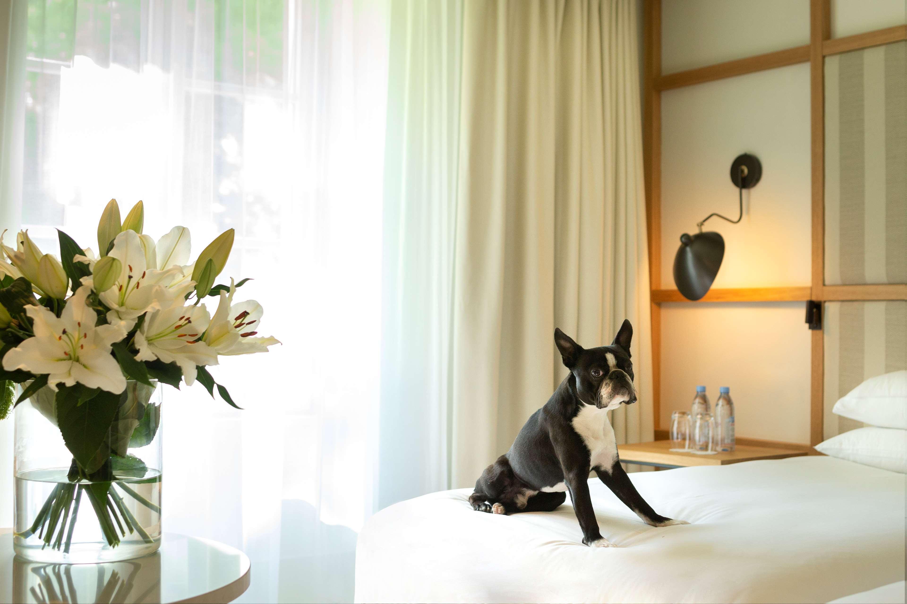 Hyatt Regency Chantilly Vineuil-Saint-Firmin Εξωτερικό φωτογραφία